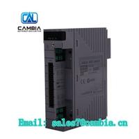 AMM31T RTD Input Multiplexer Module AS S9621AU-00